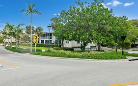 Tropical Oasis 809